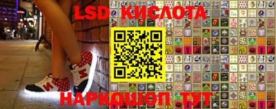 прущие грибы Белорецк