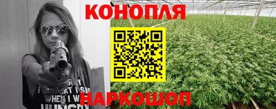 прущие грибы Белорецк