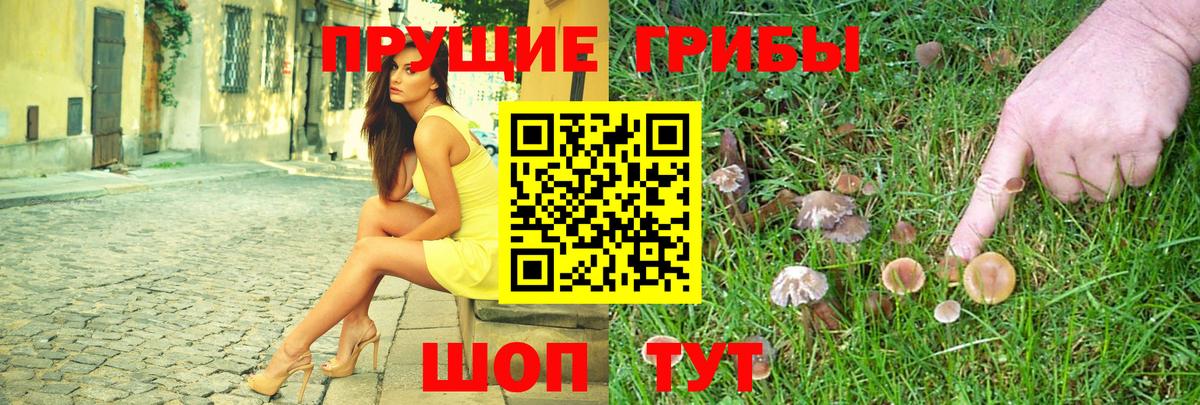 Псилоцибиновые грибы прущие грибы Дедовск
