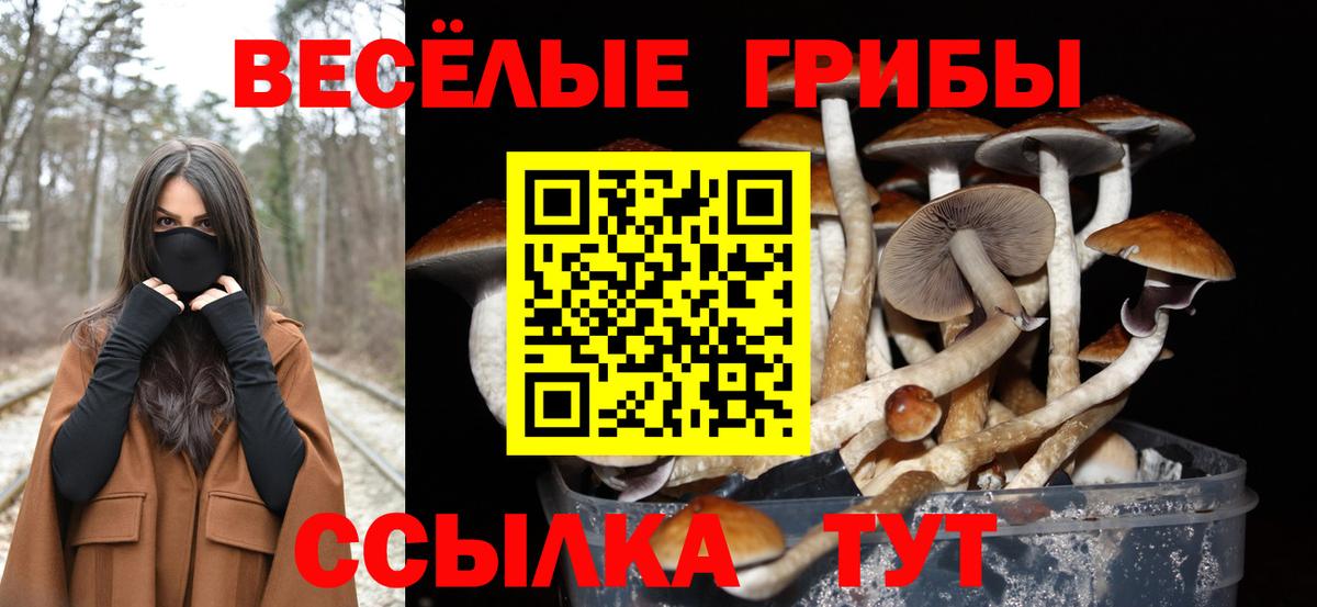 ГАШИШ  Codein  Дедовск  APVP СОЛЬ   Вход с VPN  МЕФ   MDMA  COCAIN  Меф  Каннабис 